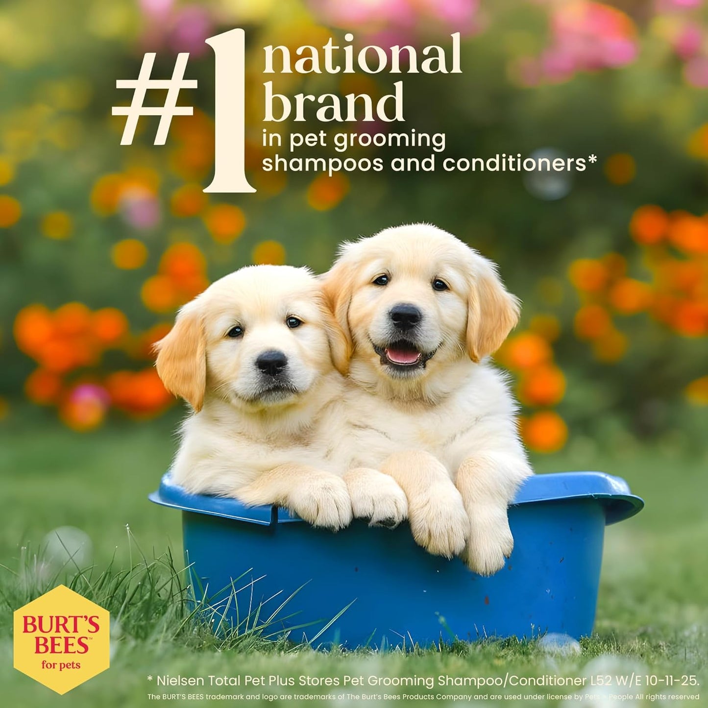 Tearless Puppy Shampoo with Buttermilk, 32Oz | Puppy & Dog Shampoo | Cruelty Free, Paraben & Sulfate Free Shampoo, Natural Shampoo for Dogs, Dog Wash, Dog Soap, Pet Shampoo